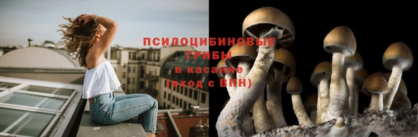 герыч Арсеньев
