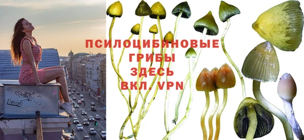 прущая мука Аркадак