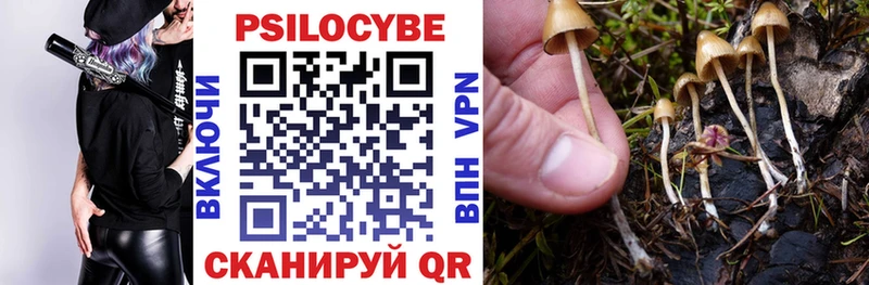 Галлюциногенные грибы MAGIC MUSHROOMS  Октябрьск 